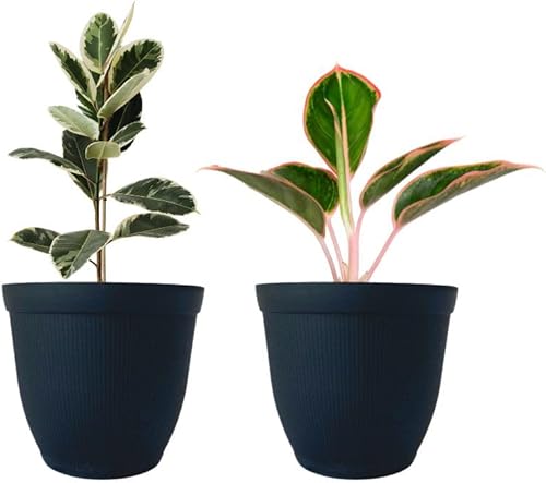 Matri Finny - Maceta redonda para plantas de interior y exterior. Maceta de 7 pulgadas, paquete de 2 (color negro)