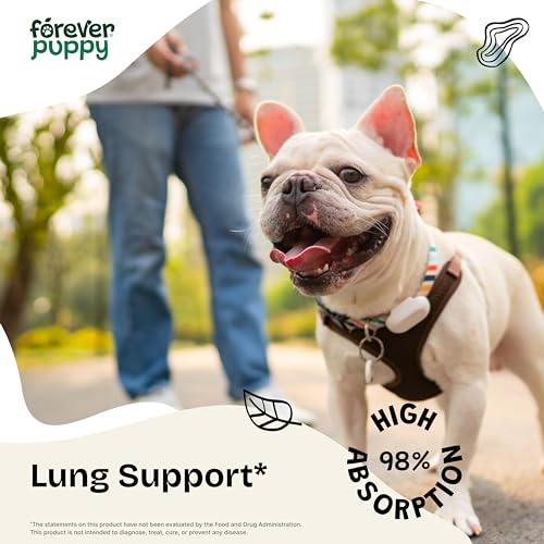 Image of Forever Puppy Lung Support Drops for Dogs - Mullein Leaf Extract & Echinacea - Herbal Lung Drops - Sugar & Alcohol-Free Liquid Vitamins - 2 fl oz