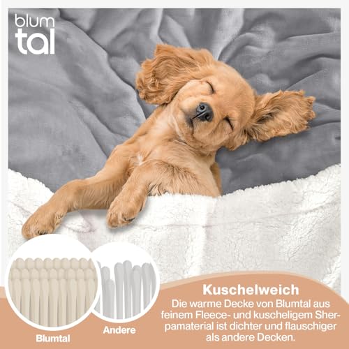 Blumtal Premium Sherpa Kuscheldecke flauschig 150x200 cm - Oeko-Tex zert. Sofa Decke mit Dicker Sherpa-Innenseite - super Flauschige Decke extra dick und wärmend - Wohn- & Kuscheldecken - Grau