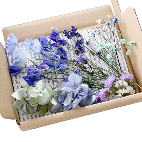 ドライフラワー 詰め合わせ」の人気商品一覧 | 安い商品を通販