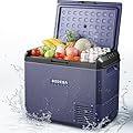 BODEGACOOLER 12v Car Refrigerator, 63QT(60L) IPX4 Waterproof Electric Cooler, APP Control Car Fridge with 12/24V DC 110-240V AC, -4?~68?, Portable Freezer for Truck Van RV Camping, Travel,Home