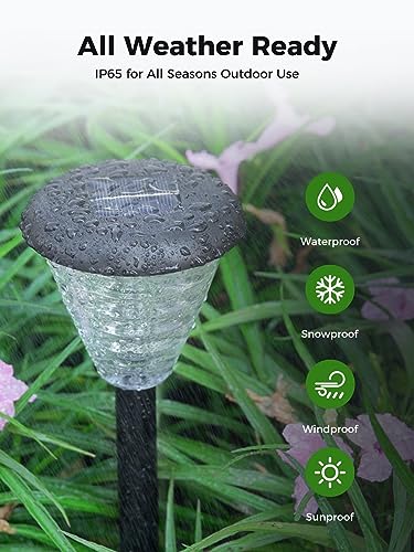 COLBOR Solar Path Lights - Image 4