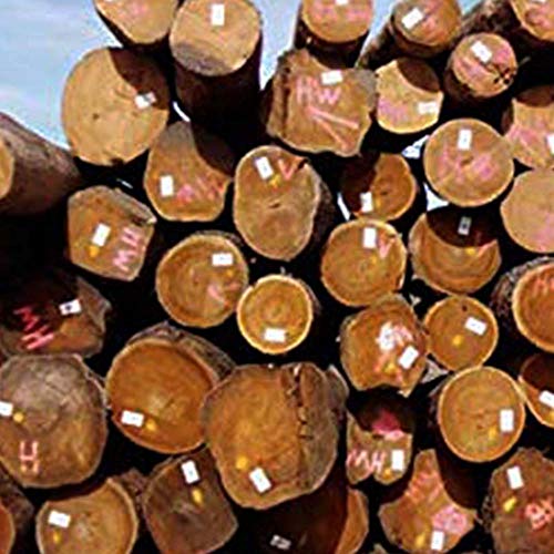 Hybrid Log & Lumber end Grain Sealer - Water-Based Wax (Limited Edition)