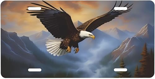 Miniatura 19 de Placa de matrícula retro Daisy, placa de matrícula delantera decorativa para el auto, placas de matrícula novedosas de aluminio, etiqueta de