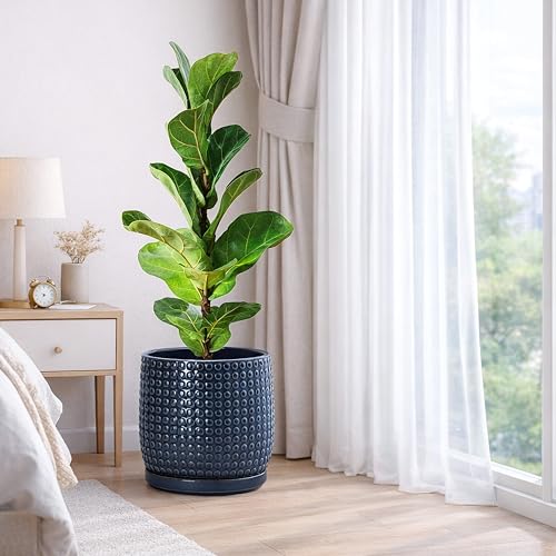D'vine Dev 10 Inch Ceramic Beaded Stoneware Planter Pot - Flower Pot with Drainage Holes and Saucers for Indoor Succulent Plants or Flowers, Midnight Blue, 27-C-P-3 by D'vine Dev - Image 2