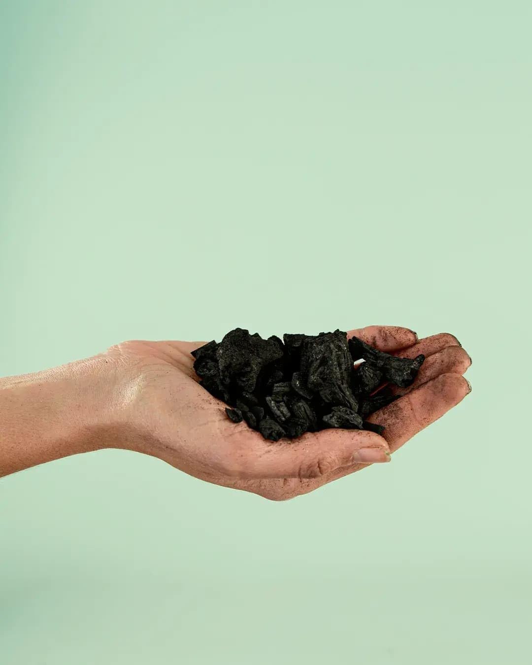 Pur Plant Biochar 3 L | Carbón Activo Natural para Plantas | Mejora la Fertilidad y Retención de Agua | Acondicionador de Suelo