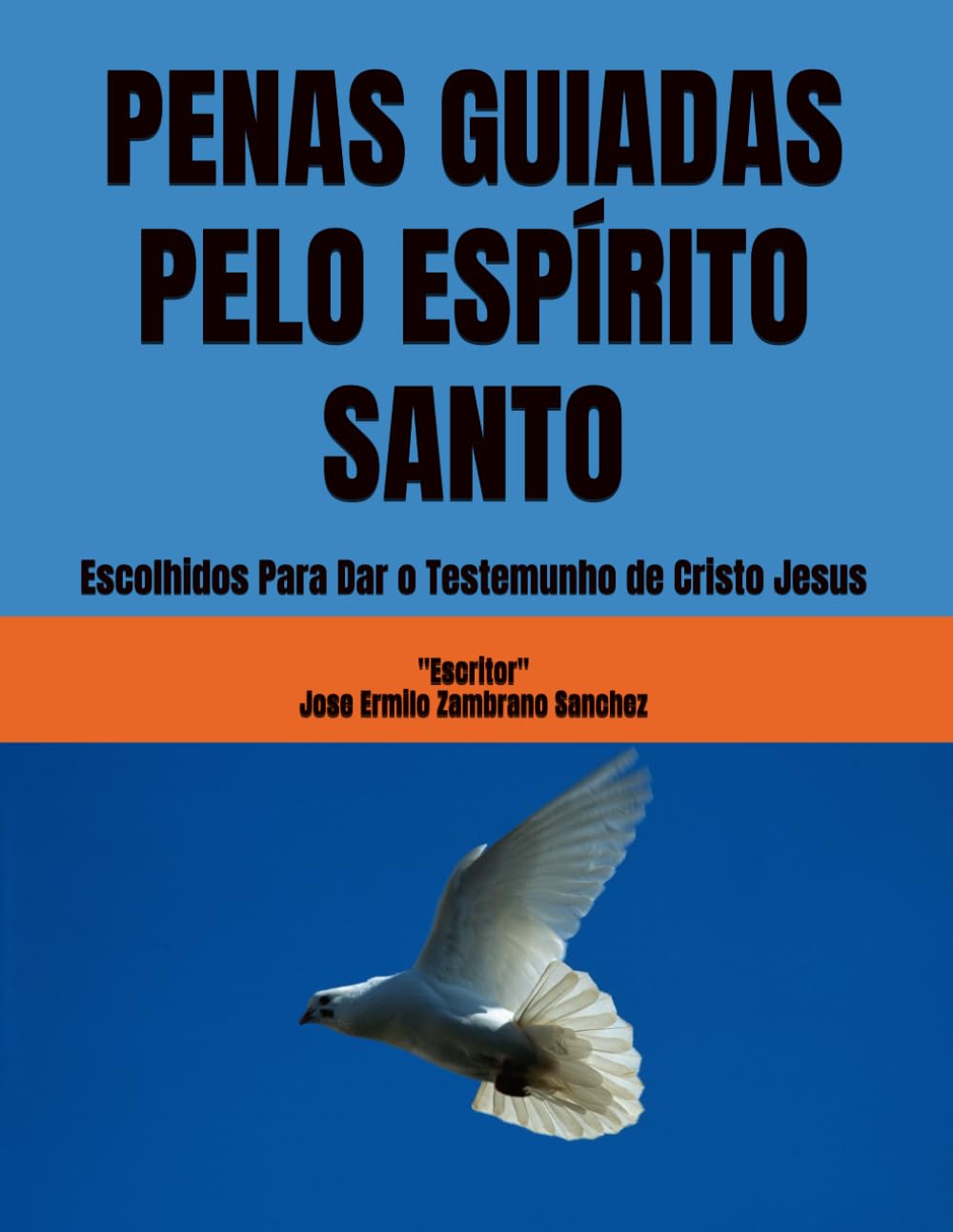 PLUMAS GUIADAS PELO ESPÍRITO SANTO: Escolhidos Para Dar o Testemunho de Cristo Jesus