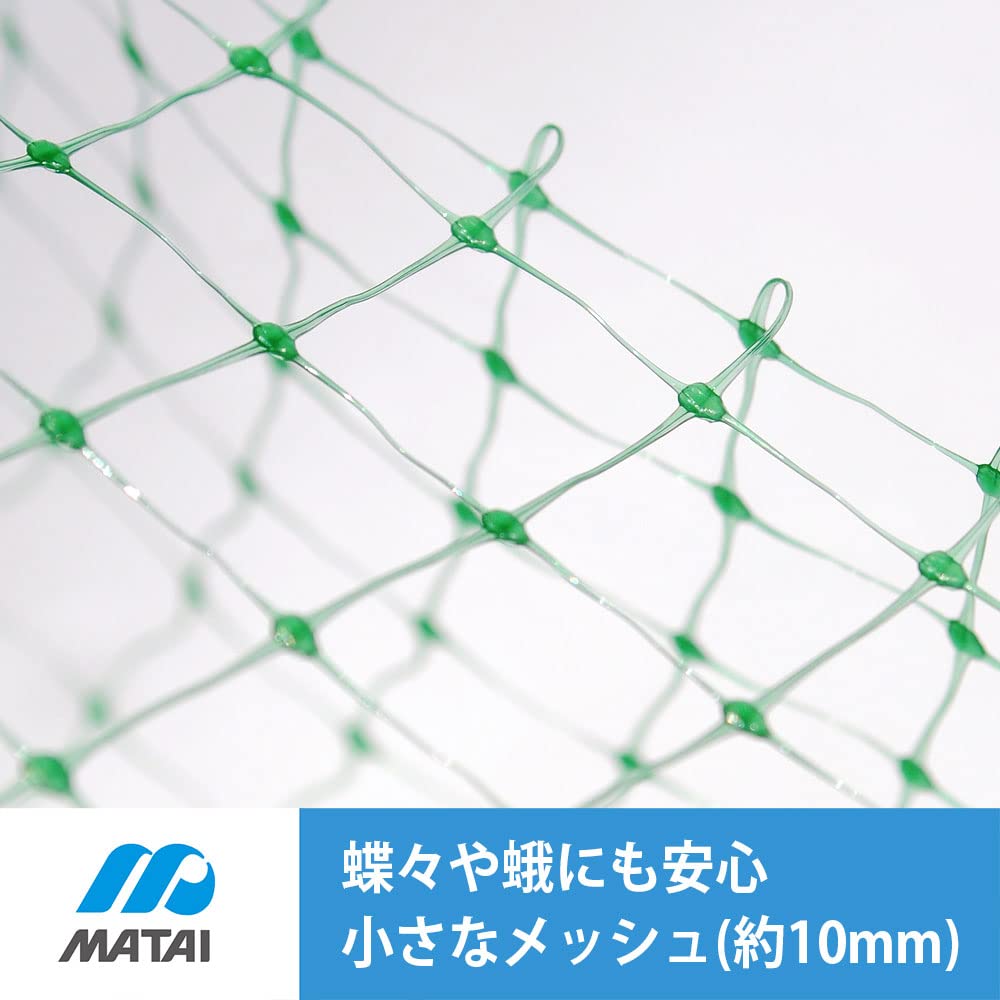 Amazon | 日本マタイ(Nihon Matai) マルソル(MARSOL) ふわっと蝶鳥