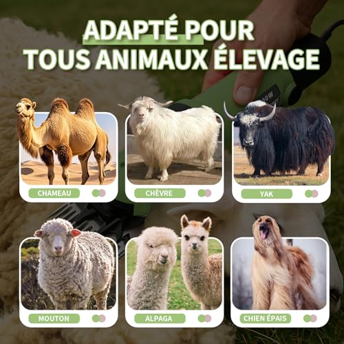Vignette produit