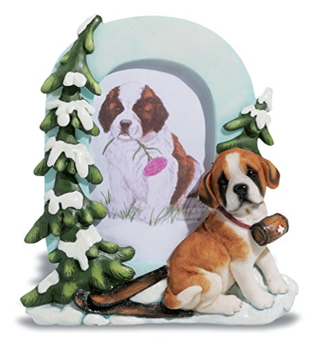 Cadre photo Saint-Bernard le cadeau parfait pour maître de chien
