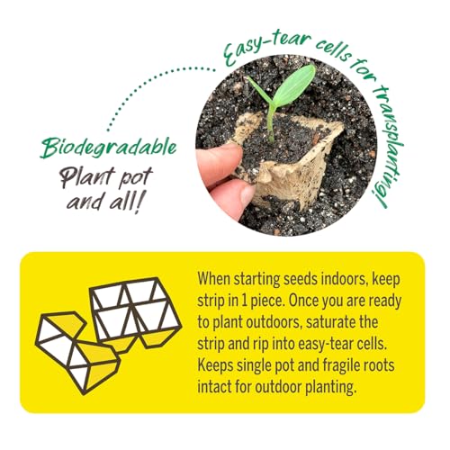 Image of Jiffy Seed Starting Strips - Biodegradable, Plant Starter Pots, 10 Cell, 50 Strips - Peat