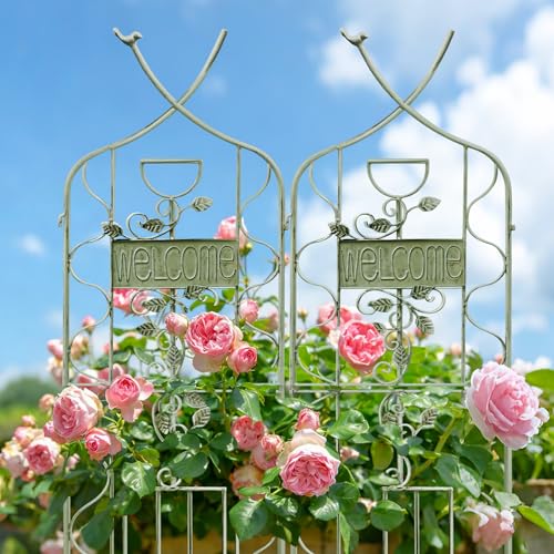 Image of LZRS 2 Pack 59.5 * 18in Rustic Iron Arch Decoration Garden Trellis with Metal Coating - Perfect for Supporting Climbing Plants Outdoor, Roses, Vines, Flowers, and Vegetables, Antique Green