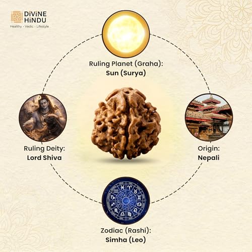 Image of Divine Hindu 1 Mukhi GOL Rudraksha | GJSPS Certified | Original Nepal Ek Mukhi Round Bead | Single Face Rudraksha for Moksha, Meditation & Shiva Devotion