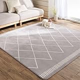 ベルーナ(BELLUNA) ラグ カーペット 厚手 3畳 2畳 1.5畳 洗える 撥水 はっ水機能付き オールシーズン ホットカーペット対応 床暖房対応 快適 軽量 ウォッシャブル 滑りにくい おしゃれ (556234-203)