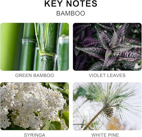 Diffuseur de parfum d'ambiance avec 6 bâtonnets pour parfumer votre maison