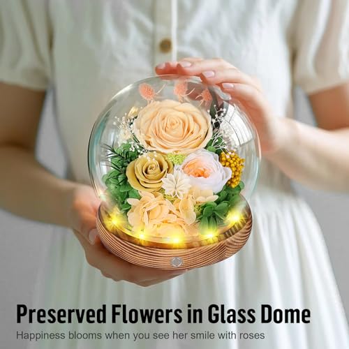 Preserved Roses in Glass Dome with LED Light - Long Lasting Real Roses, Forever Flowers for Delivery, Mothers Gifts for Her, Mom, Wife Anniversary Birthday Gifts for Women, Champagne - Image 3