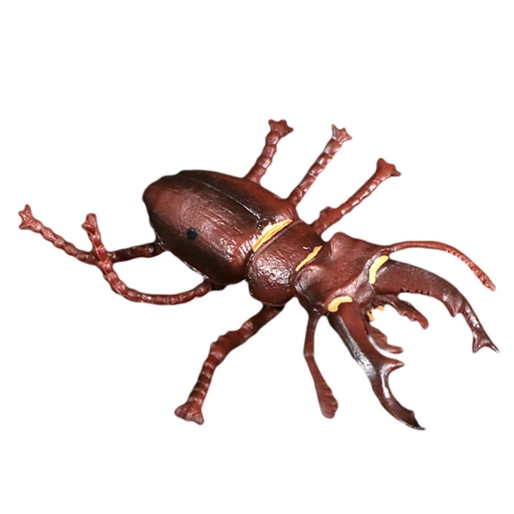 Toyvian 1 Set Animal Evolution Model Life Cycle Miniature Kid Model Toy Party Favors Supplies Animal Life Cycle Figure 3d Model Kit Development Toys Solid Child Centipede Vinyl