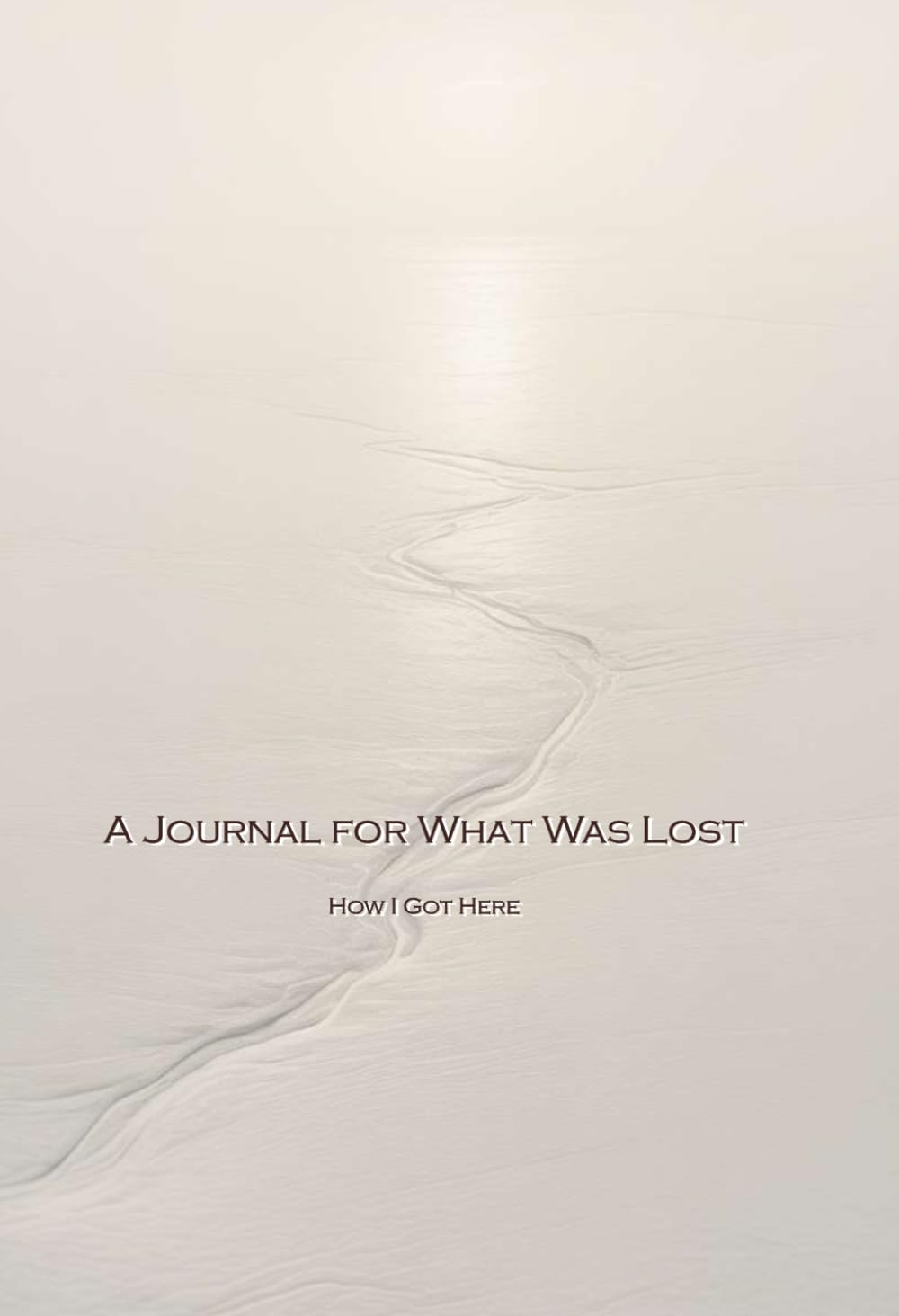 A Journal for What Was Lost: How I Got Here