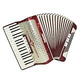 Weltmeister Accordion 96 Bass, Vintage Piano Accordion, German Keyboard Musical Instrument, New Straps and Soft Case, 2663