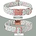 Unique Style Paws Hundehalsband Halsband Verstellbare Halsbänder oder Hundeleinen für Hunde und Katzen Klein Mittelgroß Groß
