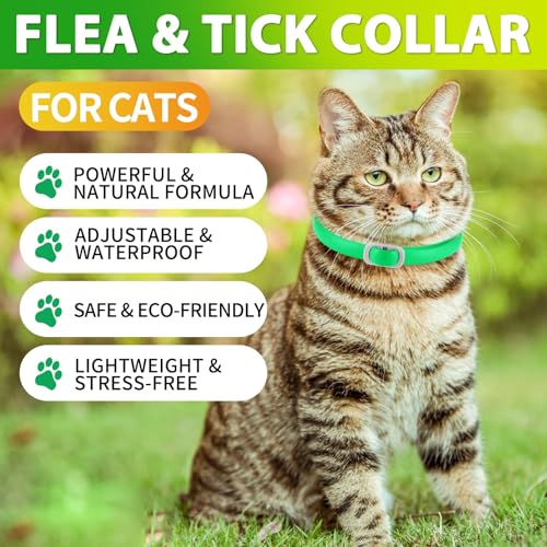 Flohhalsband Katze 4 Stück Zecken-Halsband für Katzen, Anti-Floh Katze Halsband, Verstellbar und Wasserdicht, Natürlich und Sicher, 48 cm Length, 24 Monate Schutz, Zecken-Flohband für alle Katzen
