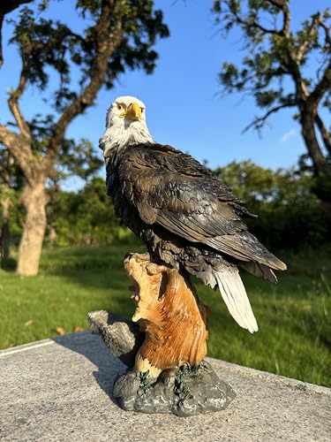 Teaeeno Majestic Eagle Decor Statue Eagle Yard Decor Sculpture Animal Statue Indoor/Outdoor Desk Decor for Home Animal Figurine Ornament Art for Desk Garden Lawn Ornament Perfect for Room Office Table