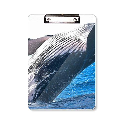 Bloc-notes A4 avec porte-bloc motif baleine pour ne plus perdre vos feuilles volantes