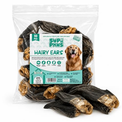 10 Pieces 100% Air Dried Large Hairy Cow Ears for Dog 100% Natural Beef Pet Treats Long Lasting Dog Treats Hypoallergenic & Low Fat Meat Dog Chews Dental Treats Grain & Gluten Free Beef Ears 10 Pack