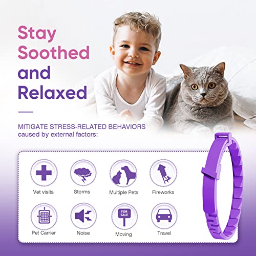 4 Pcs Pheromone Katzen Beruhigende Halsbänder Katze Calming Collar Cat Catcomfort Starter-Kit Lindern Stress und Angstlinderung verstellbare Anti Stress Katzenhalsband Ruhiges Katzenhalsband Verhalten