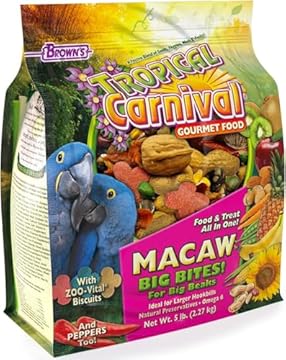 best bird food for macaws that will surprise you with their benefits 1 best bird food for macaws