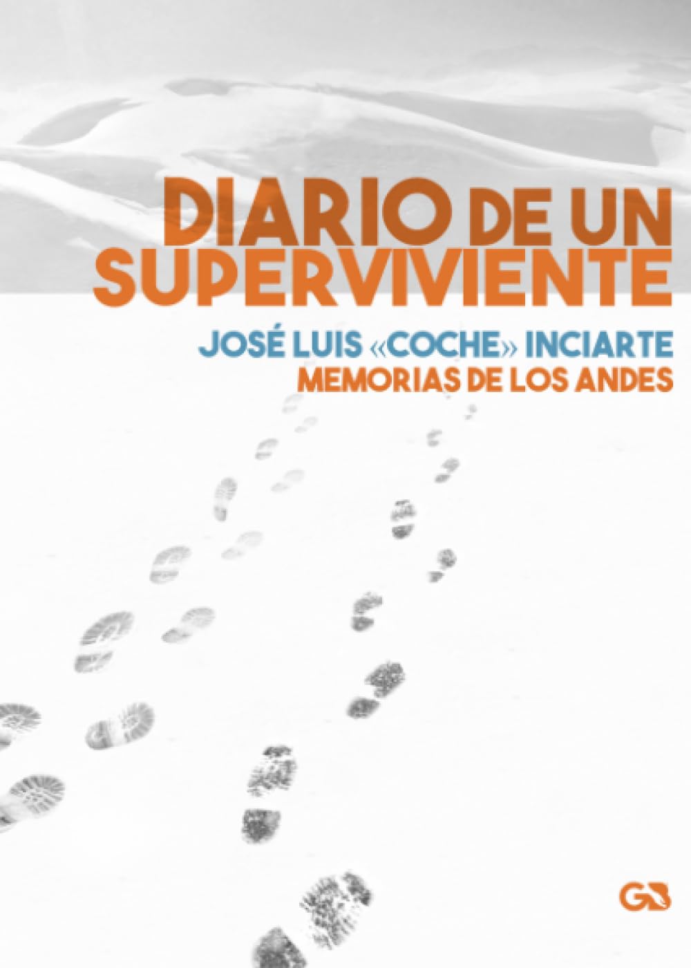 Diario de un superviviente: Memorias de los Andes (Spanish Edition)