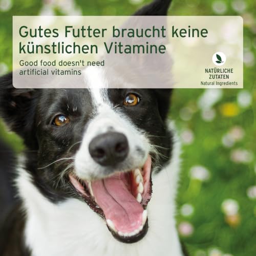 AniForte Barf Hundefutter Nass Rind Pur 6 x 400g – Fleisch Pur, Barffleisch für Hunde, Barffutter, Nassfutter getreidefrei & mit hohem Fleischanteil, Wet Dog Food Dosenfutter