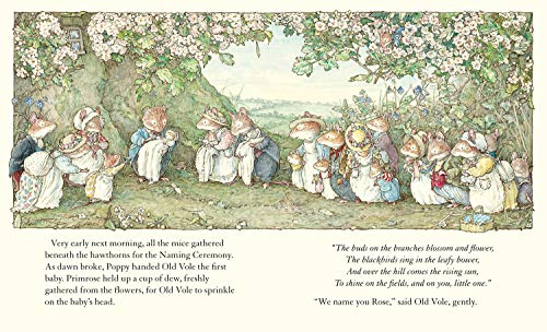 Adventures in Brambly Hedge: The gorgeously illustrated children's classics delighting kids and parents for over 40 years! - Image 7