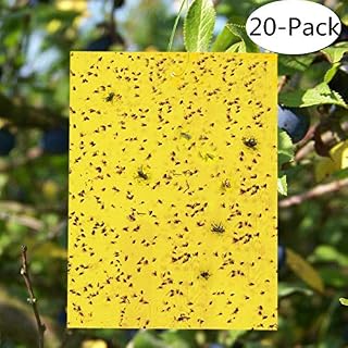 Gideal 20-Pack Dual-Sided Yellow Sticky Traps for Flying Plant Insect Such as Fungus