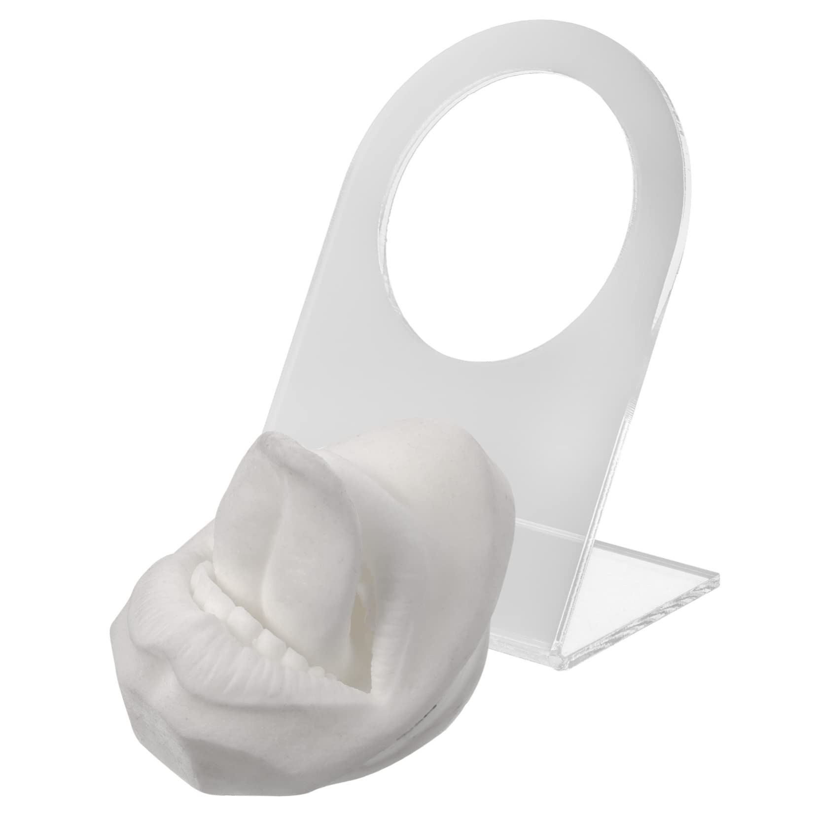 Healeved 2sets Facciali Silicone Per Piercing Lingua Esercizi Simulazione Facile Usare Superficie e Flessibile Per Dimostrazioni Piercing