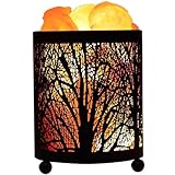 Lampe de comptoir de cuisine – la lampe de chevet est conçue avec un élégant panier en fer forgé, offrant un éclairage agréable. lampes de chevet