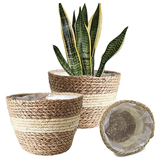 3 Pack Seagrass Plant Basket Handmade Woven Planter Pots Plastic Liners Flower Pot Cover Indoor Outdoor 10 Inch Beige
