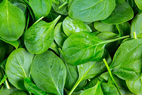 Image of Palak seeds desi (150 seeds)