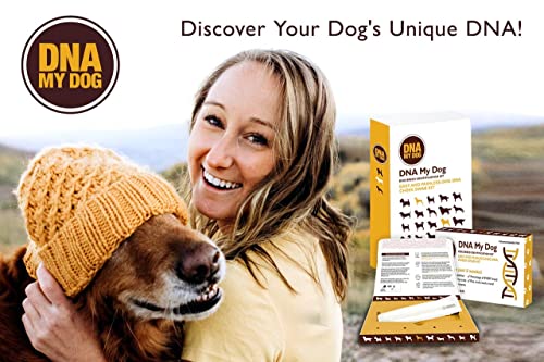 Dna My Dog Genetic Testing Kit – Mixed Breed Identification, Personality Traits – for Puppies to Adult Dogs, Non… - Image 7