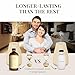 Eleven Drops Santal Aroma Fragrance Oil – Essential Oil Blend for Diffusers, Candles & Soap Making, Mixing, Long Lasting Scent, Pet Friendly, Made in USA, Amber Glass Bottle, IFRA Compliant, 16 Fl. Oz