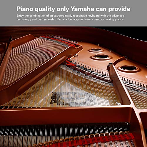Yamaha P125 88-Key Weighted Action Digital Piano with Power Supply and Sustain Pedal, Black - Les Beatles, Paul McCartney, John Lennon, RIngo Starr, George Harrison Yamaha P125 88-Key Weighted Action Digital Piano with Power Supply and Sustain Pedal, Black – Image 7