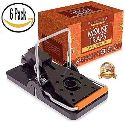 (6- Pack) Mouse Traps Premium (5.1 CM " x 10.2" CM) Snap Mice Trap catcher