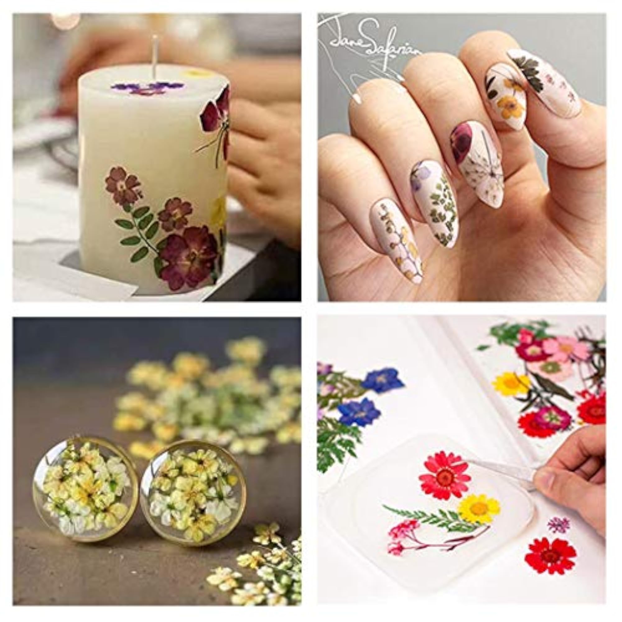 Real Dried Flowers for DIY Projects