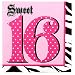 Super Stylish Sweet 16 Luncheon Napkins