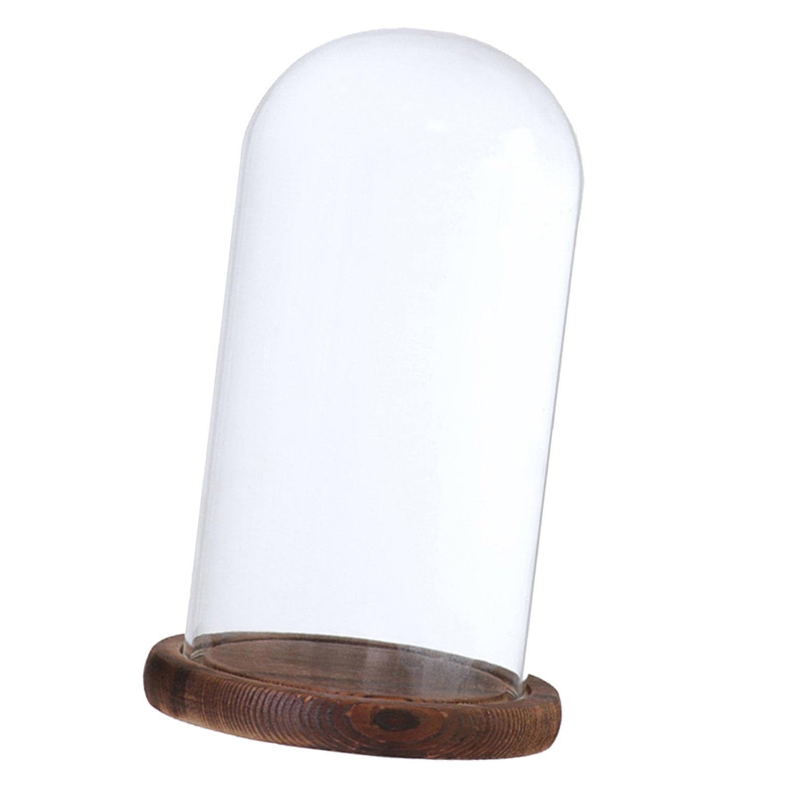 Glass Dome Cloche with Wood Base Flower Landscape Holder Glass Cover Brown D-image-41