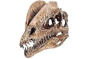 Dinosaur Skull Replica: Lifelike T-Rex Skull Statue for Home, Fish Tank, and Aquarium Decor