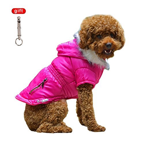 Handfly Cappottino invernale per cani, con