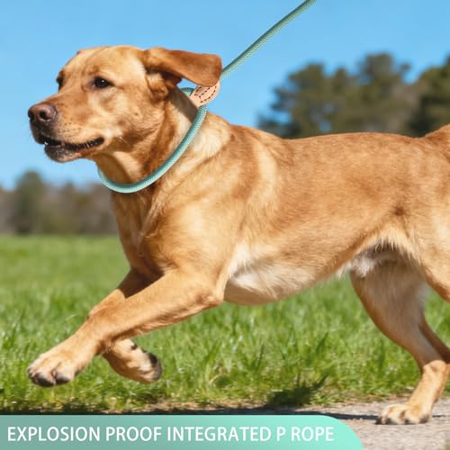 Rieoany Retrieverleine mit Zugstopp, 180 cm Hundeleine aus Polyester, Anti-Zieh Schleppleine für Hunde, Leichtes Führungsleine für Training Spaziergang, Cyan