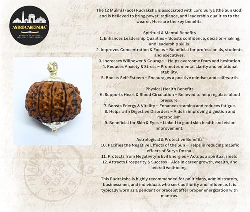 Image of 12 Mukhi Rudraksha Original Certified IGL Pendant 12 Face Natural Twelve Mukhi Rudraksha Original Nepal