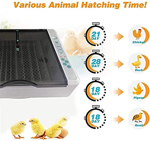 Ei incubator, 36 eieren Volautomatische Poultry Hatcher Machine, LED Candler Automatische Egg Turner Temperatuurregeling… - Afbeelding 6